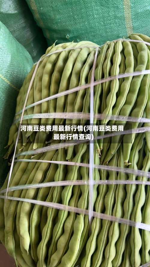 河南豆类费用最新行情(河南豆类费用最新行情查询)
