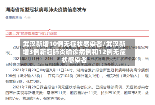 武汉新增10例无症状感染者/武汉新增3例新冠肺炎确诊病例和12例无症状感染者