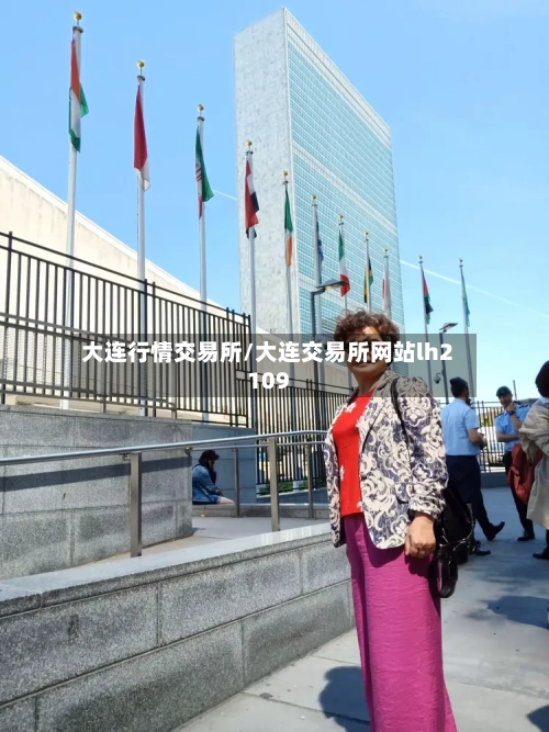 大连行情交易所/大连交易所网站lh2109