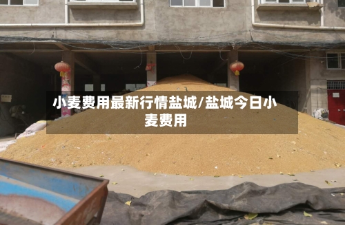 小麦费用最新行情盐城/盐城今日小麦费用-第2张图片