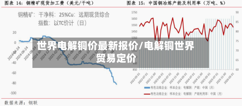 世界电解铜价最新报价/电解铜世界贸易定价-第3张图片