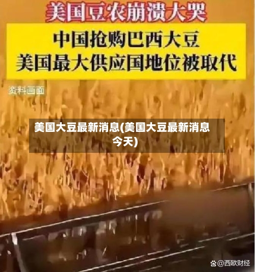 美国大豆最新消息(美国大豆最新消息今天)-第2张图片