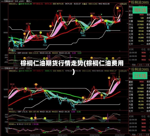 棕榈仁油期货行情走势(棕榈仁油费用)-第2张图片