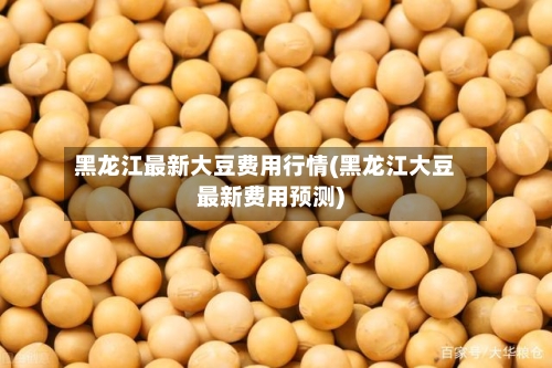 黑龙江最新大豆费用行情(黑龙江大豆最新费用预测)