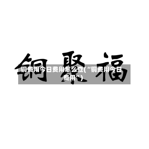 铜费用今日费用怎么查(“铜费用今日费用”)