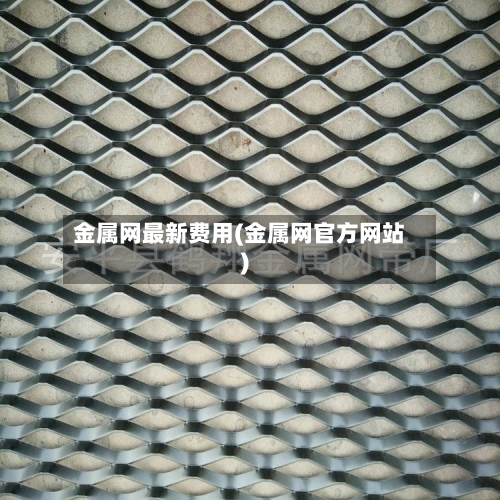 金属网最新费用(金属网官方网站)-第3张图片