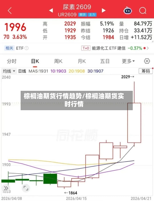 棕榈油期货行情趋势/棕榈油期货实时行情-第2张图片