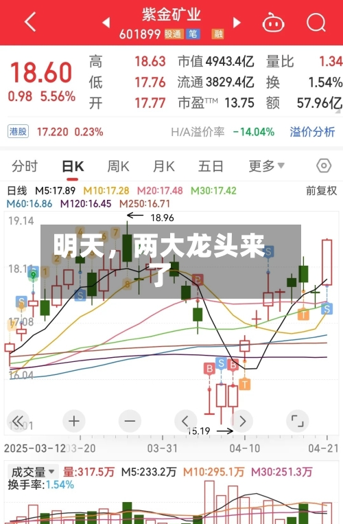 明天	，两大龙头来了-第2张图片