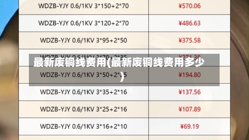 最新废铜线费用(最新废铜线费用多少)-第3张图片