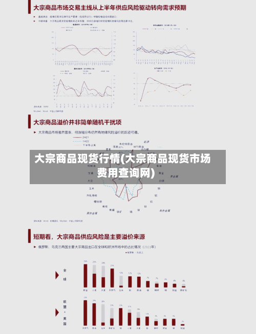 大宗商品现货行情(大宗商品现货市场费用查询网)