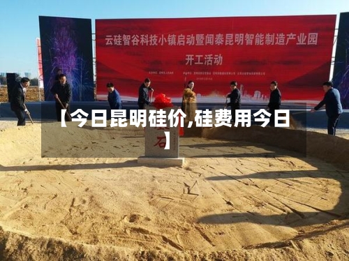【今日昆明硅价,硅费用今日】-第2张图片
