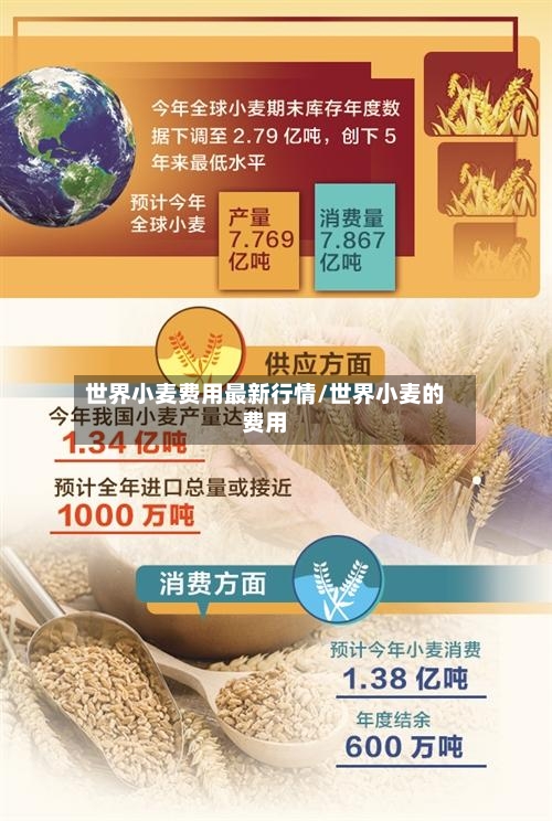 世界小麦费用最新行情/世界小麦的费用-第2张图片