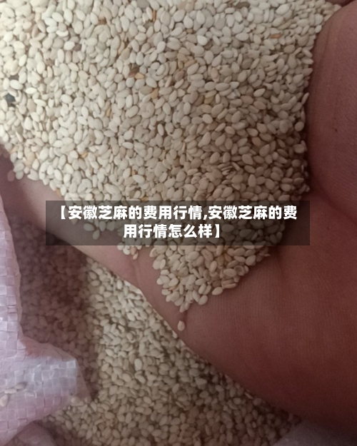【安徽芝麻的费用行情,安徽芝麻的费用行情怎么样】-第2张图片