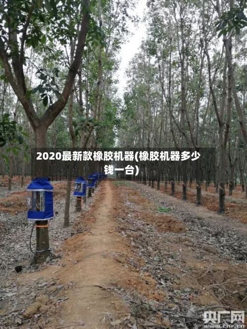 2020最新款橡胶机器(橡胶机器多少钱一台)