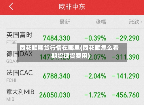 同花顺期货行情在哪里(同花顺怎么看期货现货费用)-第3张图片