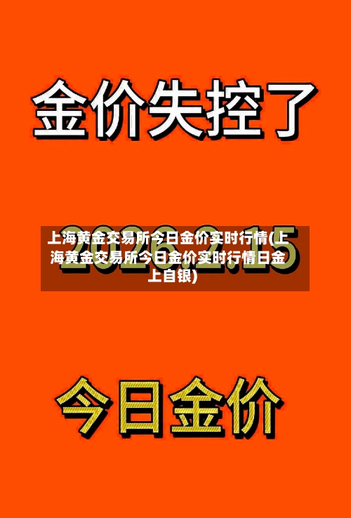 上海黄金交易所今日金价实时行情(上海黄金交易所今日金价实时行情日金上自银)-第3张图片