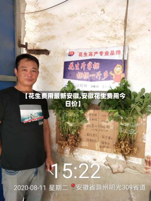 【花生费用最新安徽,安徽花生费用今日价】