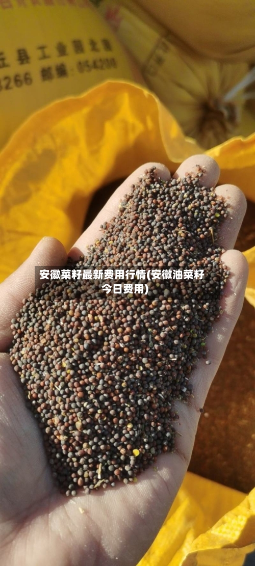 安徽菜籽最新费用行情(安徽油菜籽今日费用)-第2张图片