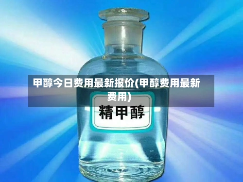 甲醇今日费用最新报价(甲醇费用最新费用)