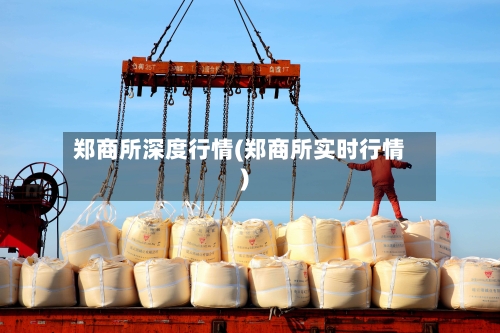 郑商所深度行情(郑商所实时行情)-第2张图片