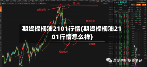 期货棕榈油2101行情(期货棕榈油2101行情怎么样)-第2张图片