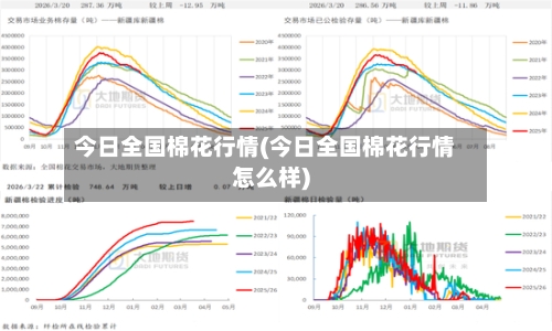 今日全国棉花行情(今日全国棉花行情怎么样)