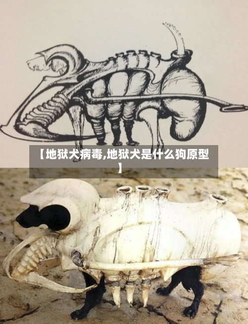 【地狱犬病毒,地狱犬是什么狗原型】