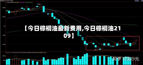 【今日棕榈油最新费用,今日棕榈油2109】-第2张图片