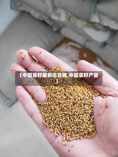 【中国菜籽最新信息网,中国菜籽产量】-第2张图片