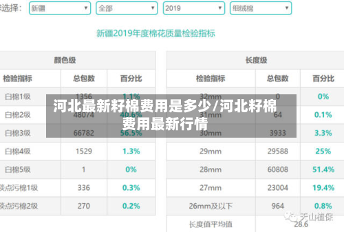 河北最新籽棉费用是多少/河北籽棉费用最新行情-第3张图片