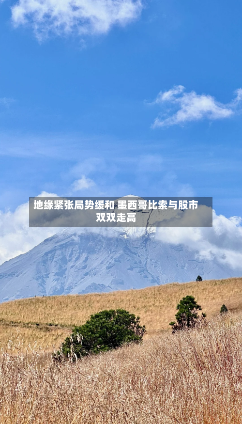 地缘紧张局势缓和 墨西哥比索与股市双双走高