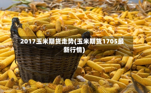2017玉米期货走势(玉米期货1705最新行情)-第2张图片