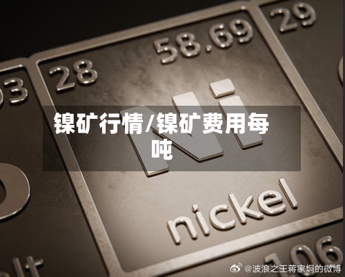 镍矿行情/镍矿费用每吨-第2张图片