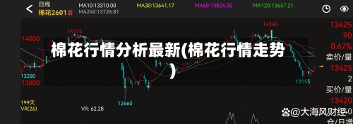 棉花行情分析最新(棉花行情走势)-第2张图片