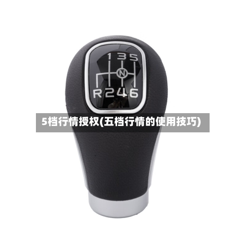 5档行情授权(五档行情的使用技巧)-第3张图片