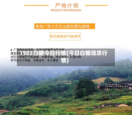 1903白糖今日行情(今日白糖现货行情)