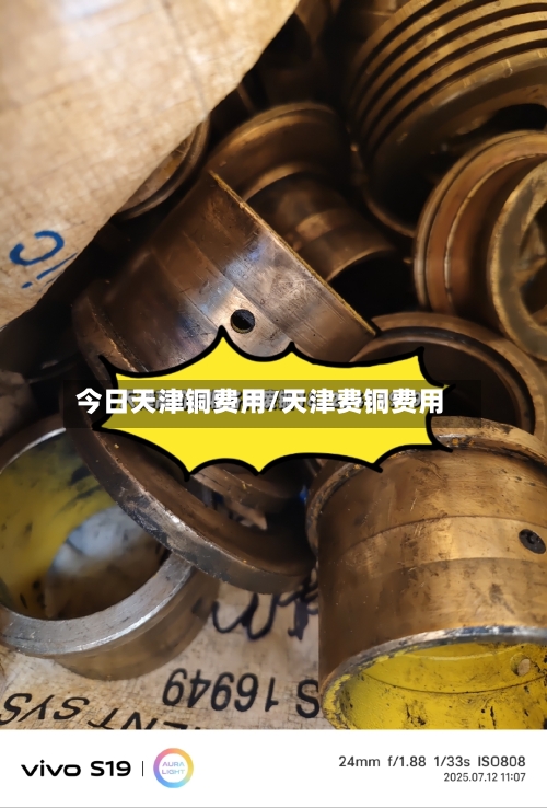 今日天津铜费用/天津费铜费用-第2张图片