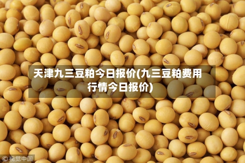 天津九三豆粕今日报价(九三豆粕费用行情今日报价)