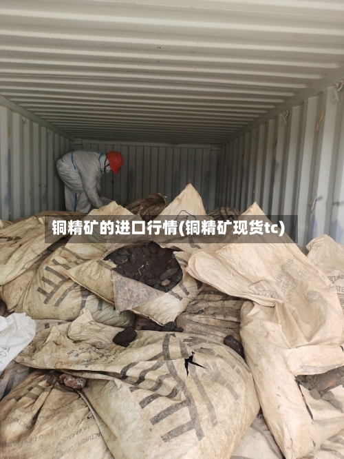 铜精矿的进口行情(铜精矿现货tc)-第2张图片