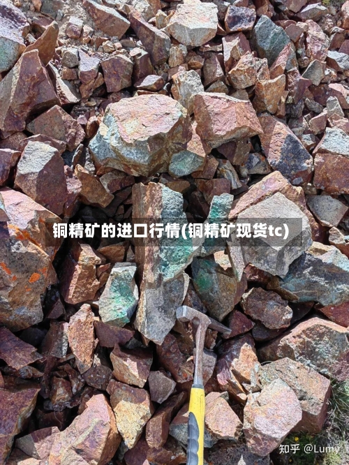 铜精矿的进口行情(铜精矿现货tc)-第3张图片