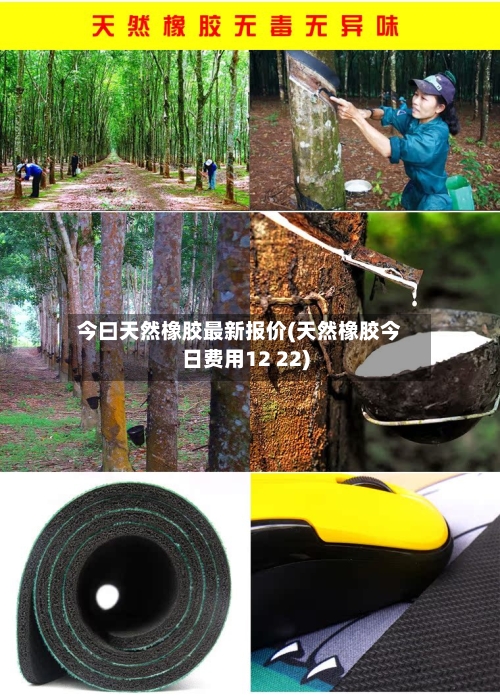 今曰天然橡胶最新报价(天然橡胶今日费用12 22)