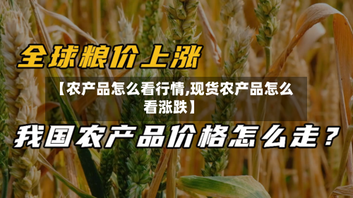【农产品怎么看行情,现货农产品怎么看涨跌】
