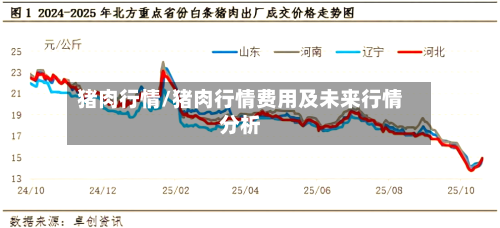 猪肉行情/猪肉行情费用及未来行情分析-第3张图片
