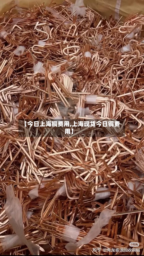 【今日上海铜费用,上海现货今日铜费用】-第2张图片