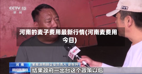 河南的麦子费用最新行情(河南麦费用今日)