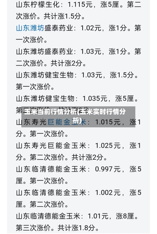 玉米当前行情分析(玉米实时行情分析)