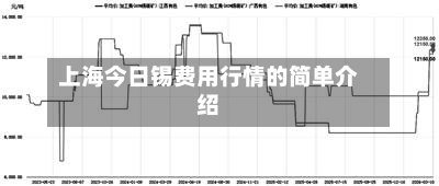上海今日锡费用行情的简单介绍-第2张图片