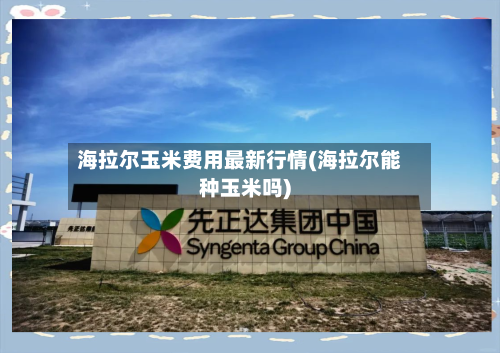 海拉尔玉米费用最新行情(海拉尔能种玉米吗)-第2张图片