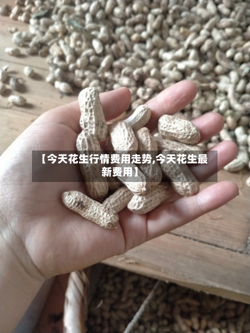 【今天花生行情费用走势,今天花生最新费用】-第3张图片