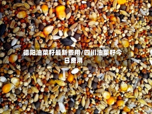 德阳油菜籽最新费用/四川油菜籽今日费用-第2张图片